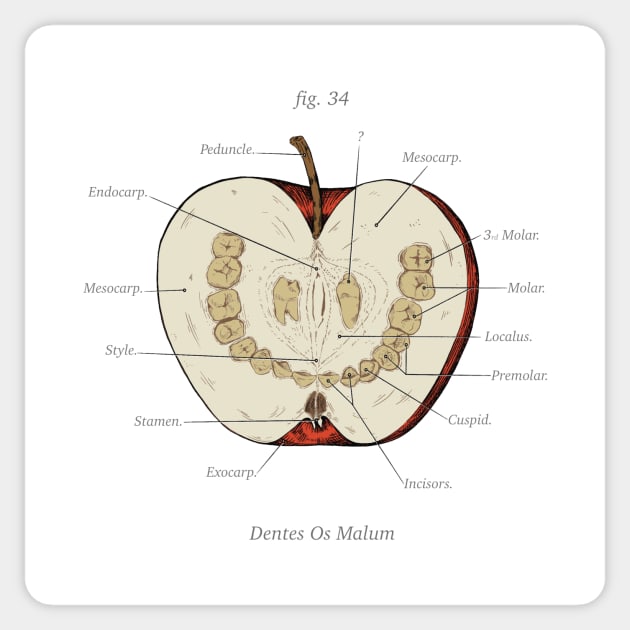 The Magnus Archives - Anatomy Class - Teeth Apple Sticker by Rusty Quill